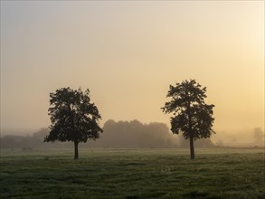 Sunrise over the meadows in autumn morning fog