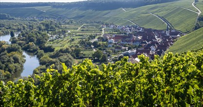 View from Vogelsburg Castle on the Main Loop towards Escherndorf