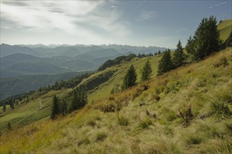 Hiking area Brauneck region