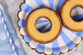 Slice of traditional round German layered winter cake called 'Baumkuchen' glazed with chocolate showing thin layers inside of cake