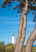 Listed lighthouse or beacon Dornbusch on the Schluckswiek or Schluckwieksberg behind Scots pine