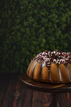 Hazelnut cake on wooden plate