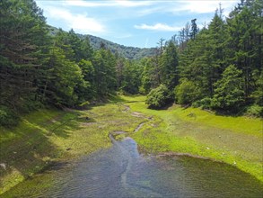 Arrival from the river to the lake with pine trees around it and some beautiful little beaches. Aerial drone view of the reservoir in summer