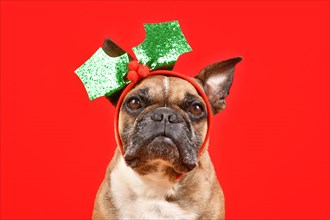 French Bulldog dog with Christmas mistletoe headband on red background