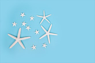Different sized starfish on blue background