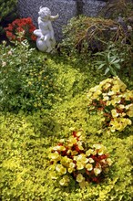 Gravestone with begonias