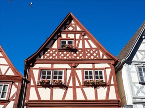 Half-timbered house in the main street with row of half-timbered houses