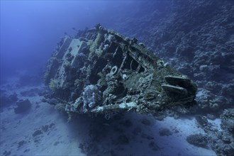 Wreck of sailboat overgrown with corals