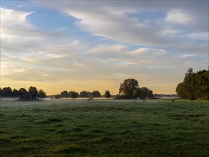 Morning mist over the meadows and floodplains