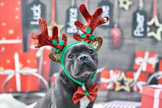Young French Bulldog dog dressed up with reindeer costume antlers headband and bow tie in front of festive Christmas background