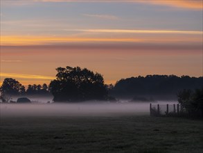 Fog over meadows at dawn on the edge of the village