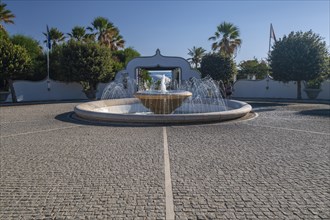Entrance with fountain