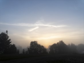 Fog and dawn between trees and meadows