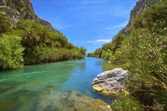 View of Kourtaliotis river and canyon near Preveli beach at Libyan sea