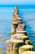 Groynes made of logs protect the beach of Hiddensee Island from erosion and project far into the water