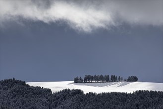 Fresh snow in November with a wonderful view of the Black Forest in a cloudy atmosphere