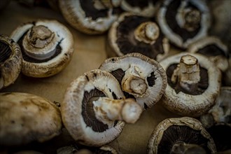 Portobello mushrooms closeup on a basket