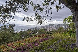 Funchal Botanical Garden