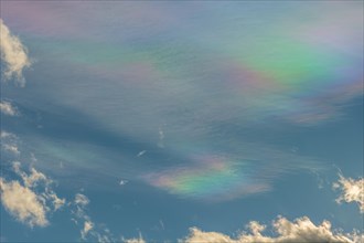 Quite rare optical phenomenon of iridescence of clouds of pearly