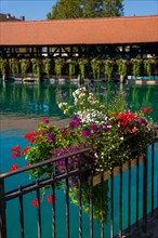 River Aare in City of Thun and Untere Schleuse Bridge with Flowers in a Sunny Summer Day in Thun