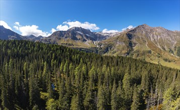 View over the Rauris primeval forest to the Hohe Sonnblick
