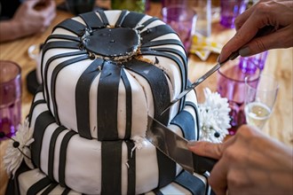 Hands cutting a wedding cake