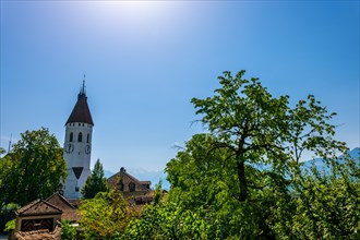 Church Tower and Trees with Sunlight in City of Thun a Sunny Day in Thun