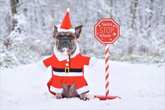 French Bulldog dog wearing Christmas Santa Claus costume next to Santa stop sign in winter landscape