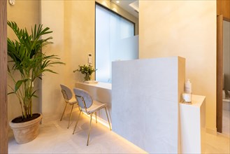 Interior design of the entrance of a luxury clinic with plants and chairs