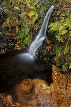 Mountain stream and waterfall in autumn forest