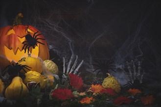 Halloween background with pumpkins