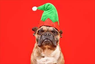 French Bulldog dog dressed up with Christmas elf costume hat in front of red background