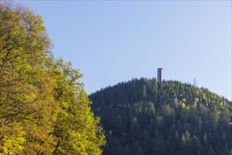Lookout tower on the Buchkopf on an autumn day