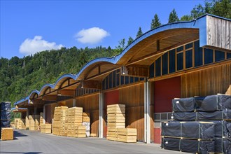Large warehouse with stacks of beams in a sawmill