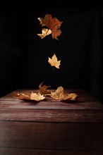 Dried autumn leaves on a wooden table with a black background