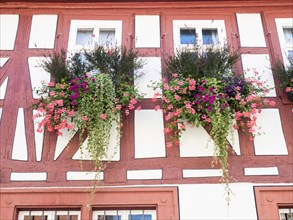 Flower decoration on half-timbered house