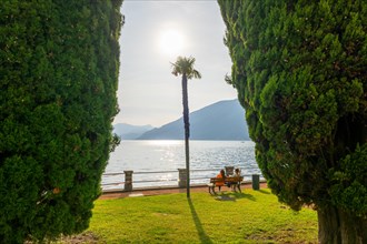 People Sitting on a Bench in a Park with Trees on the Waterfront with Railing to Lake Lugano with Mountain in a Sunny Summer Day in Bissone