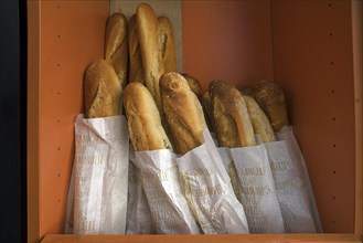 Fresh baguettes in a bread box of a bakery