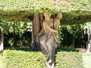 Sculpture under a shrub in the courtyard garden