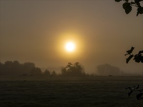 Sunrise over the meadows in autumn morning fog