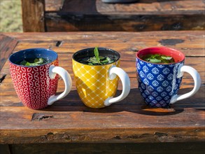Fresh mint tea in colourful cups