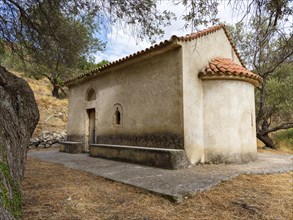 Chapel of Agios Ioannis among olive trees