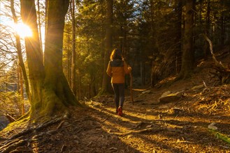 A young woman walking in a yellow jacket on a trek through the woods one afternoon at sunset. Artikutza forest in Oiartzun