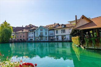 River Aare in City of Thun and Untere Schleuse Wooden Bridge in a Sunny Summer Day in Thun