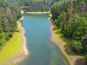 View from above of the Lake with pine trees around it and some beautiful beaches. Aerial drone view of the reservoir in summer