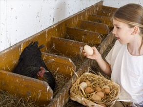 Boy collecting eggs from the nests into a basket in the henhouse