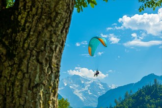 Couple Paragliding in front Of Snow Capped Jungfraujoch Mountain in a Sunny Day in Interlaken