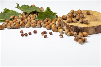 Hazelnuts in and without shell on and next to wooden disc