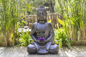 Meditating Buddha Statue with a purple lotus on his hands on a backyard