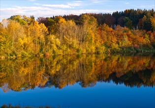 Magnificent autumn forest with perfect reflection in Haslach